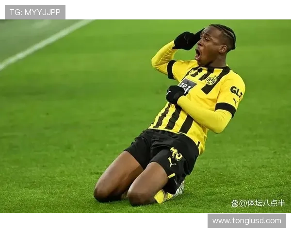 德甲夏季转会窗口开启，各球队引援动作持续引发关注分析