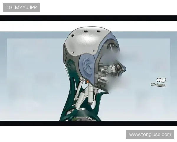 西汉姆中场架构剖析：战术演变与未来发展方向值得关注