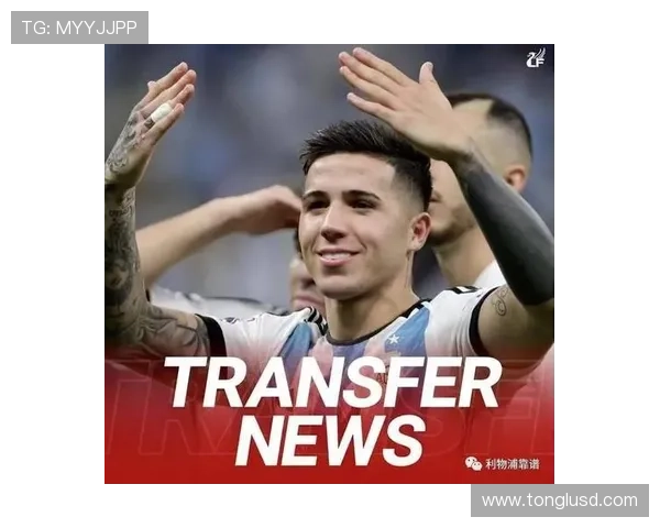 恩佐·费尔南德斯：从阿根廷新星到世界杯冠军中场的崛起解析