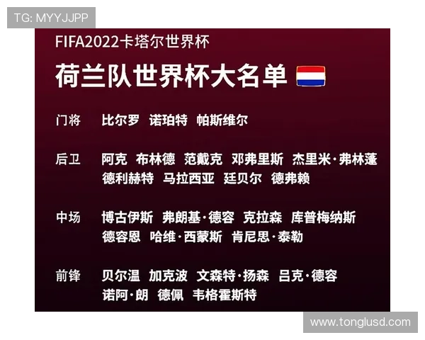 荷兰世界杯锋线组合威力有多大